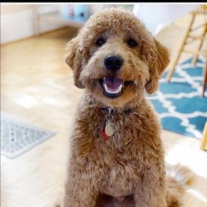 Meet your Posher, Iman